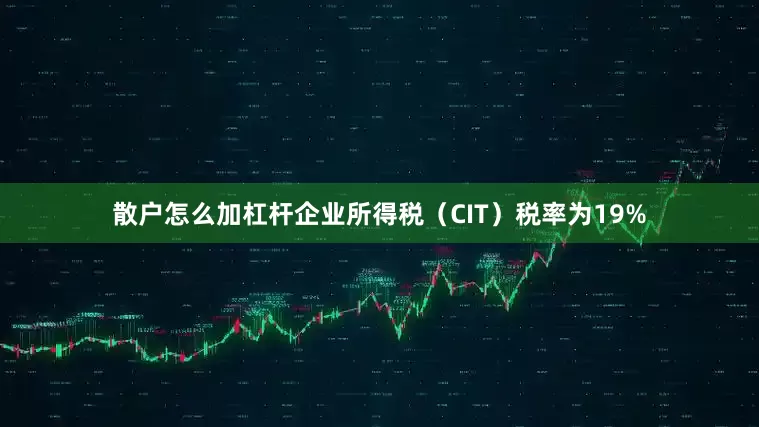 散户怎么加杠杆企业所得税（CIT）税率为19%