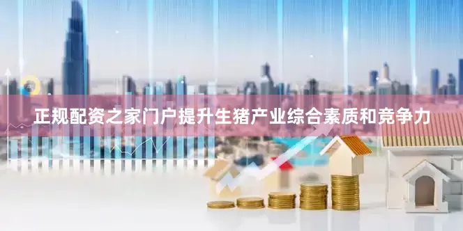 正规配资之家门户提升生猪产业综合素质和竞争力