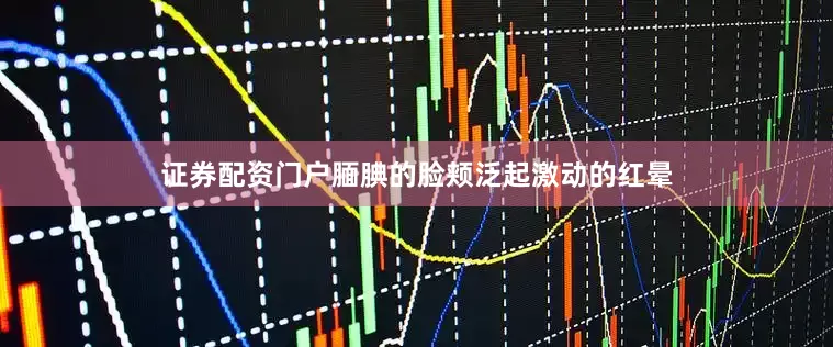 证券配资门户腼腆的脸颊泛起激动的红晕