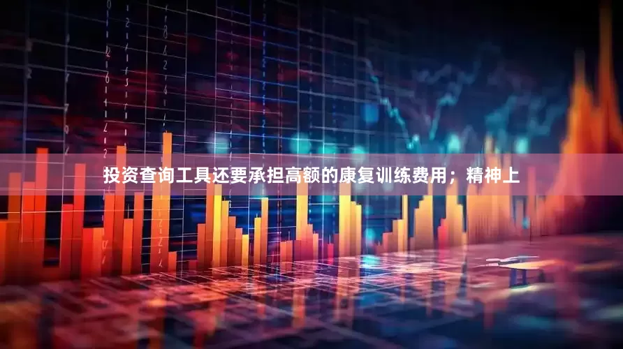 投资查询工具还要承担高额的康复训练费用；精神上